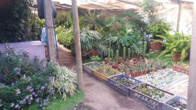 Don beña - Gastronomía y hostelería