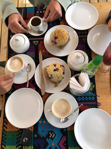 El Gato en Bicicleta Phone number