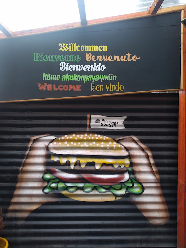 http://www.patagoniaburger.cl/