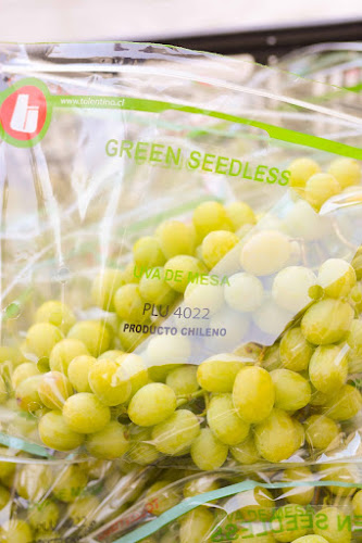 San Fernando s/n Santa María, San Felipe, Valparaíso