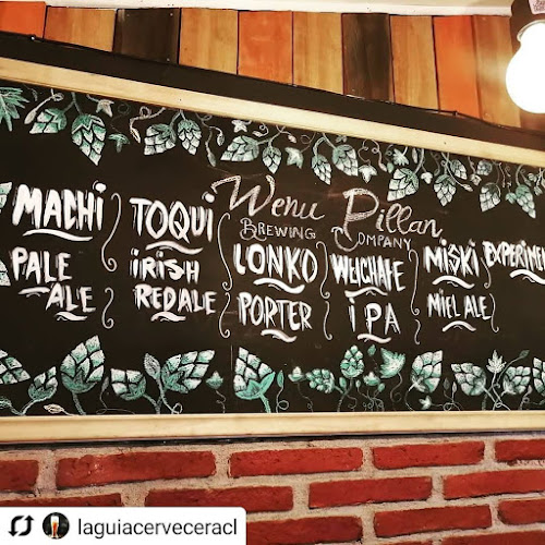 Comentarii opinii despre Wenu Pillán Cervecería y Restaurante