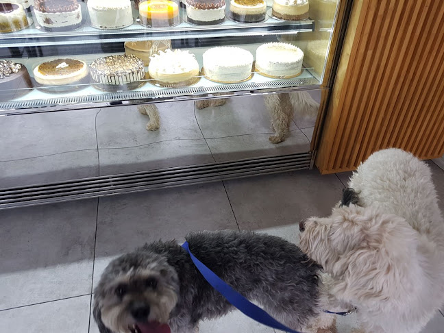 Tabancura 1382, Santiago, Vitacura, Región Metropolitana