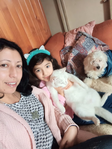 Casa De Mané. - Carahue