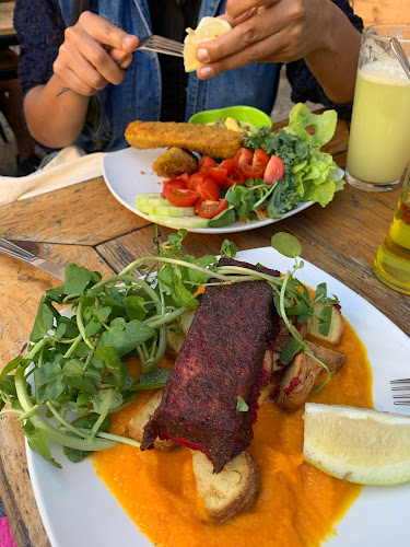 Comments and reviews of La Boca Del Oso