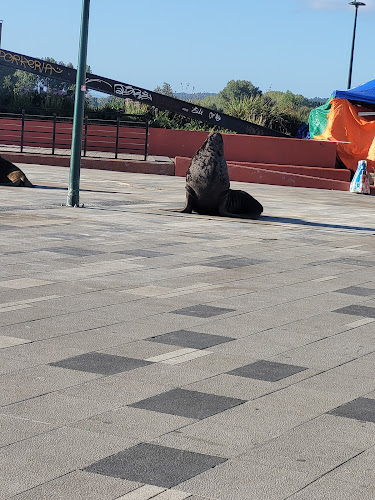 La Terraza Restaurant Gastronomía Marina Phone number