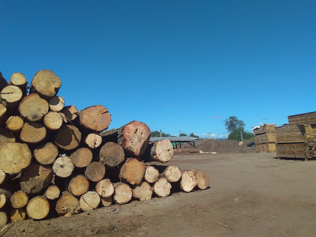 Hostelería Donguil - Gastronomía y hostelería