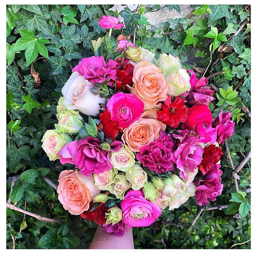 Flor de Pasión Open Times