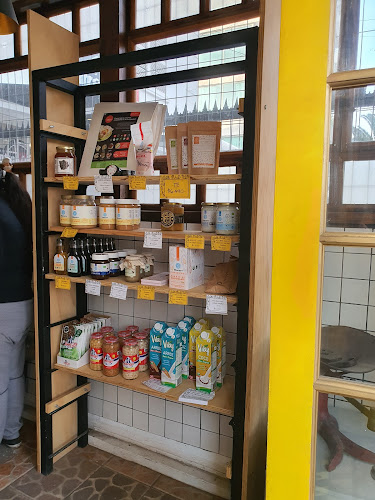 José Domingo Cañas 2948, 7750173 Ñuñoa, Región Metropolitana