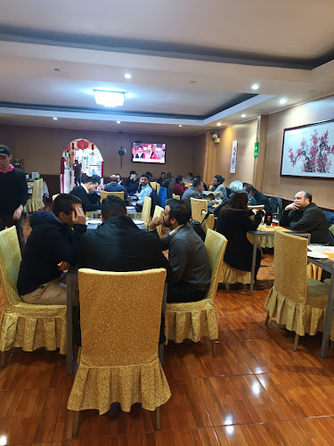 Restaurant Royal Open Times