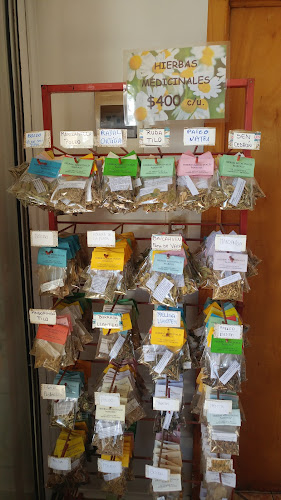 Millaco 710, 3220403 Pichilemu, O'Higgins