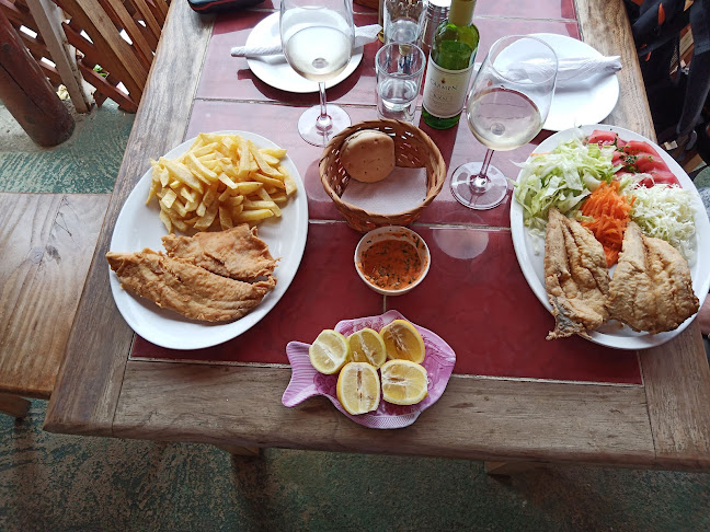 Comentarii opinii despre Restaurant El Gato