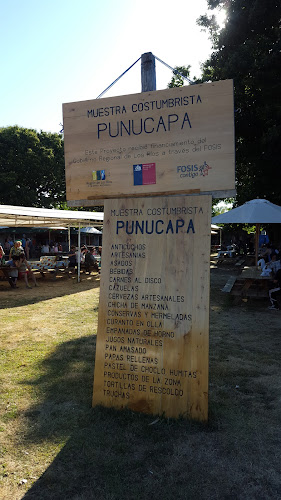 2201202, Punucapa, Los Ríos