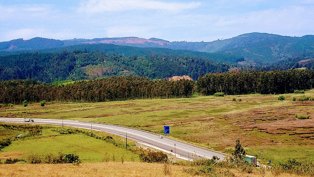 Rio petrohue - Gastronomía y hostelería