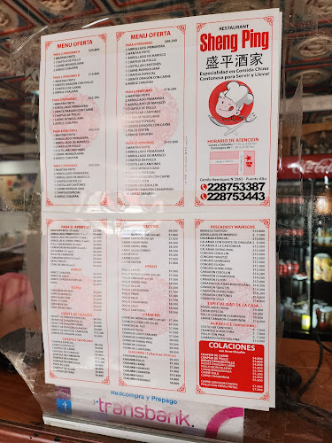 Restaurant Sheng Ping Limitada - Puente Alto