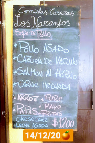 Los Naranjos 6344-6302, La Florida, Región Metropolitana