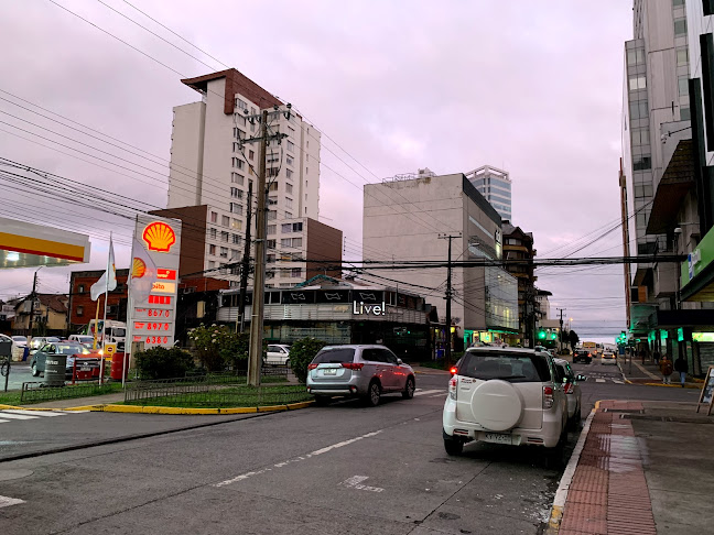 Reviews of Bajón del Negro in Puerto Montt - Gastronomía y hostelería