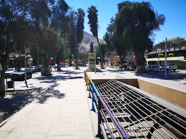 Patio Alameda - Gastronomía y hostelería