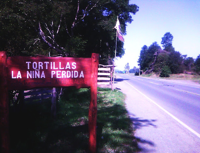 Sector La Peña Km 19 Lanco, 6050000, Los Ríos