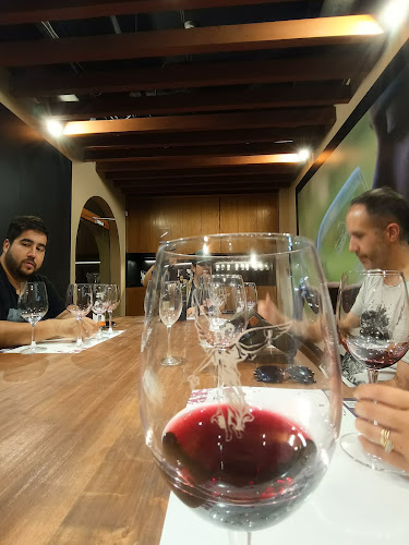 Viña Montes Alpha - Santa Cruz