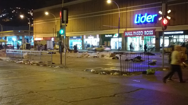 Feria de las Pulgas y Verduras - Valparaíso