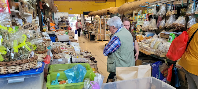 Cienfuegos 1448, 3660562 San Javier de Loncomilla, Maule