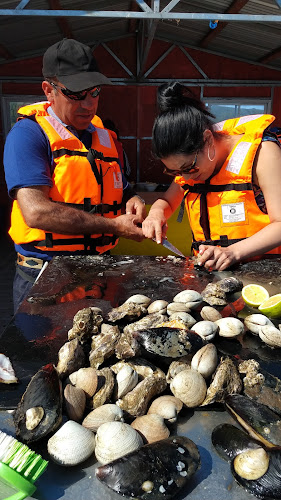 Balsa Turística Llico Paraíso - Gastronomía y hostelería
