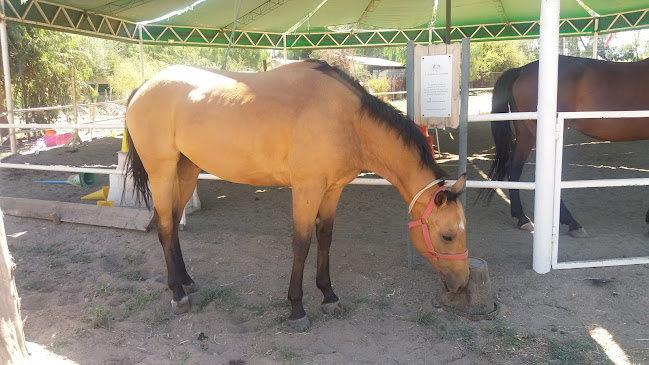 Opinii despre Carnes V.I.P în Batuco - Gastronomía y hostelería