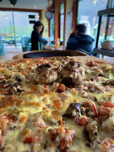 Comments and reviews of Terrazas Panorámicas 360