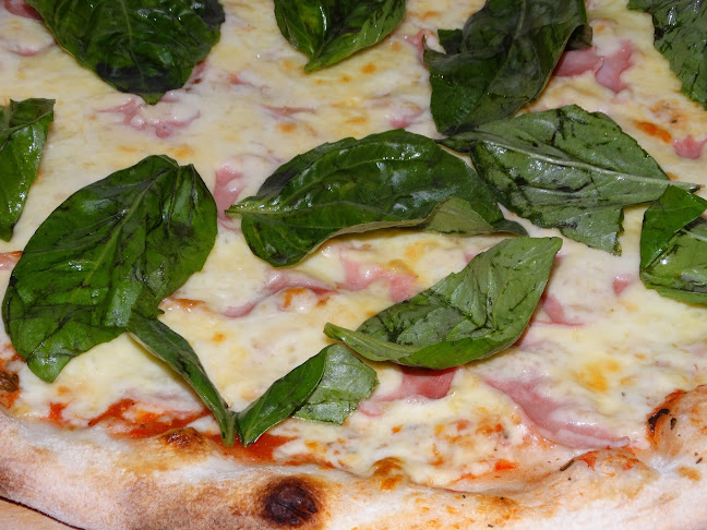 Traslaviña 344, 2171564 San Felipe, Valparaíso