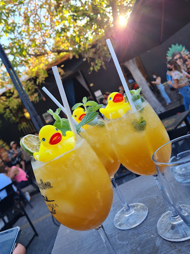 Comentarii opinii despre PADAM