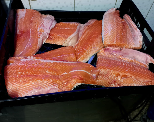 Opinii despre Cholgas Stella în Puerto Natales - Gastronomía y hostelería