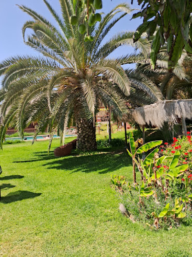 Opinii despre Entre Olivos în Arica - Gastronomía y hostelería