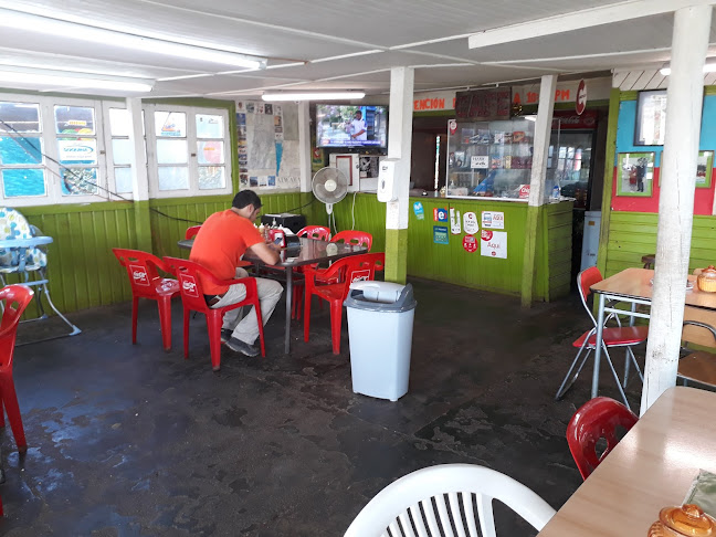 Desierto Florido Atacama - Copiapó