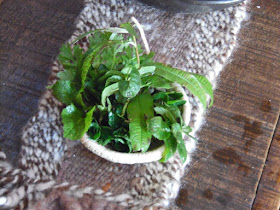 Matetuan Liwenko (Turismo Aukinko Leubu)