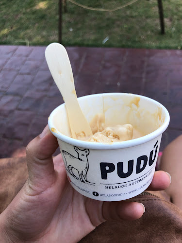 Opinii despre Helados Artesanales PUDÚ în Araucanía - Gastronomía y hostelería