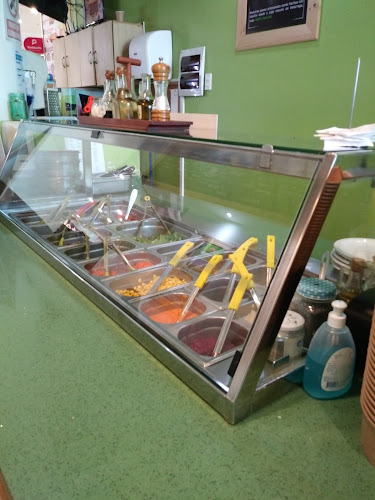 MAMMATERRA Open Times