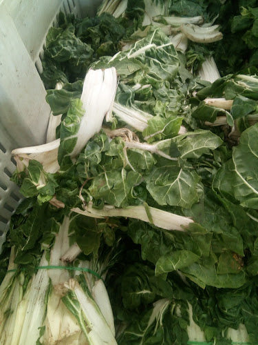 Parque Industrial - Gastronomía y hostelería