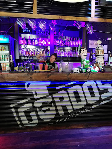 Carrera 440, 2362937 Valparaíso