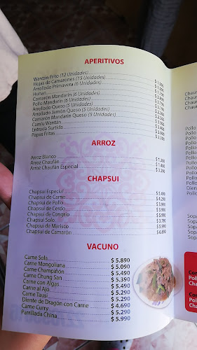 Nemesio Vicuña 3445, 8150215 Puente Alto, Región Metropolitana