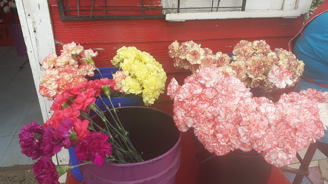 Floreria Anny - Rio Bueno