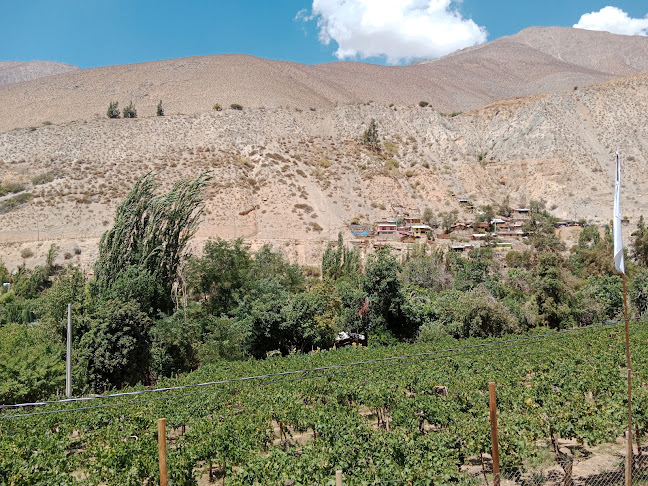 Las TERRAZAS DE DOÑA MELY - Gastronomía y hostelería