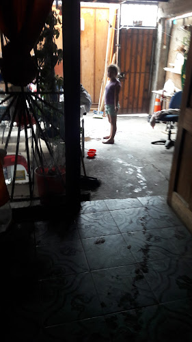 Opinii despre Zhong Ming Yap în Antofagasta - Gastronomía y hostelería