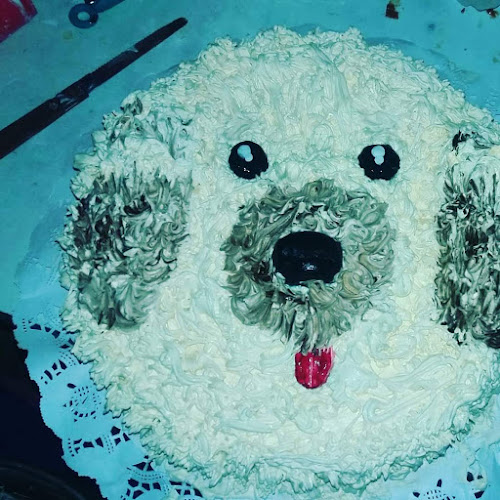 Dulce Pastelito - Requinoa