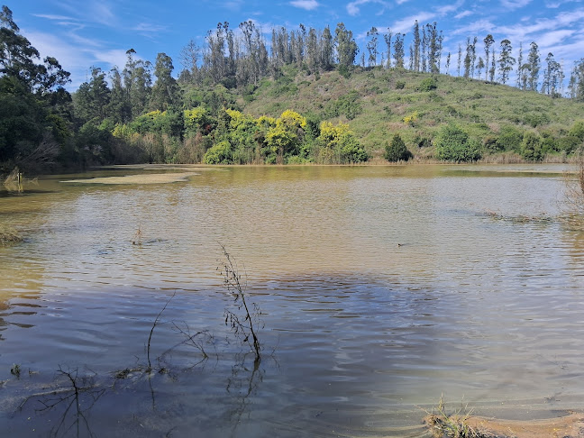 Restaurant El Plateado - Valparaíso