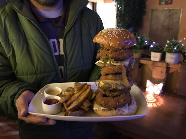 Comentarii opinii despre Jardín Tocornal