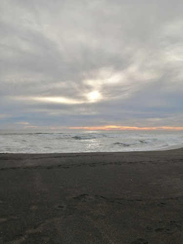 Cafetería Ruka Pulli Phone number