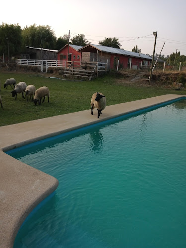 El Granero SpA - Gastronomía y hostelería