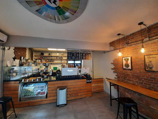 Intenzzo Coffee Roasters - Concepción