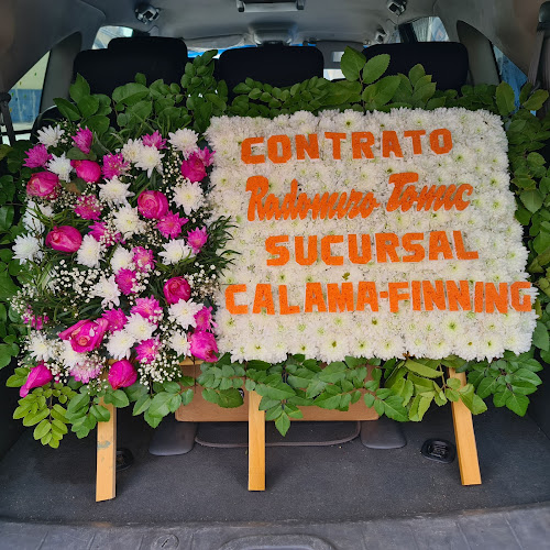 Florería Primavera Antofagasta - Gastronomía y hostelería