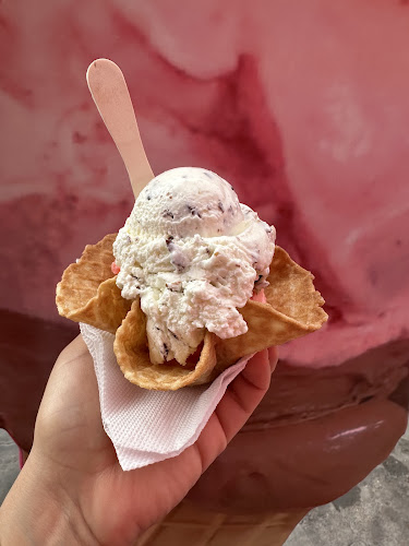 Cocoliche Heladería Artesanal - Iquique